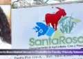 Santa Rosa Market Moves to Chabelito for Family-Friendly Saturday diasabra awo 1 di augustus tin mercado di santa rosa den kinderboerderij chabelito
