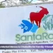 Santa Rosa Market Moves to Chabelito for Family-Friendly Saturday diasabra awo 1 di augustus tin mercado di santa rosa den kinderboerderij chabelito
