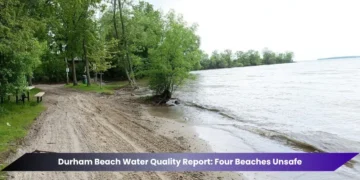 Durham Beach Water Quality Report: Four Beaches Unsafe durham beach water quality report four beaches unsafe