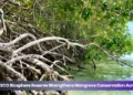 elmar briya hunto volunteers clean brazil during national campaign