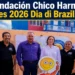 fundacion chico