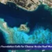 Metabolic Foundation Calls for Clearer Aruba Reef Management