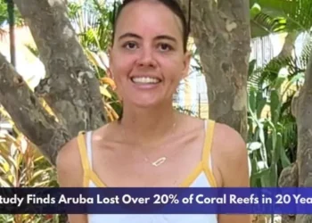 Study Finds Aruba Lost Over 20% of Coral Reefs in 20 Years