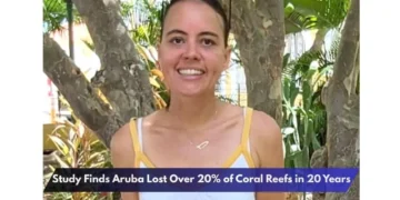 Study Finds Aruba Lost Over 20% of Coral Reefs in 20 Years Study Finds Aruba Lost Over 20% of Coral Reefs in 20 Years