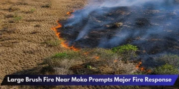 Large Brush Fire Near Moko Prompts Major Fire Response