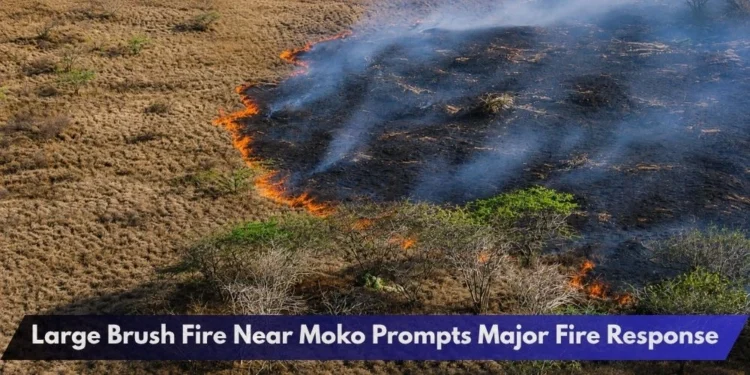 Large Brush Fire Near Moko Prompts Major Fire Response