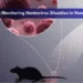 Aruba Monitoring Hantavirus Situation in Venezuela