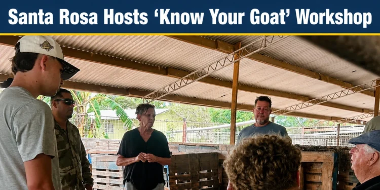 know your goat workshop
