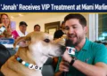 Aruba's 'Jonah' Receives VIP Treatment at Miami Marlins Stadium miami marlins stadium