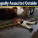 Tourist Allegedly Assaulted Outside Playa Linda playa linda