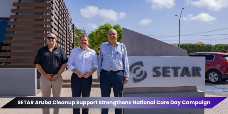 setar aruba cleanup support