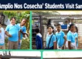 scol amplio nos cosecha