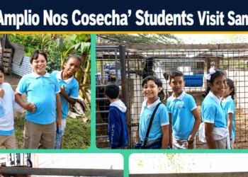 scol amplio nos cosecha