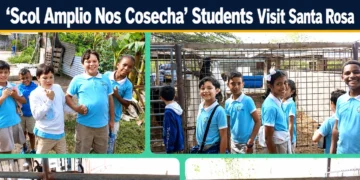 scol amplio nos cosecha