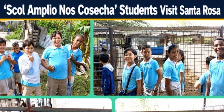 scol amplio nos cosecha