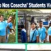 scol amplio nos cosecha
