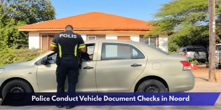 Police Conduct Vehicle Document Checks in Noord