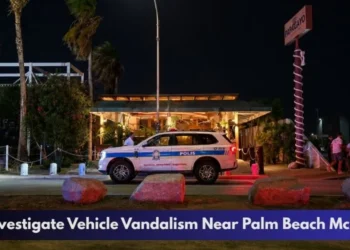 Police Investigate Vehicle Vandalism Near Palm Beach McDonald's