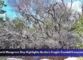 World Mangrove Day Highlights Aruba's Fragile Coastal Ecosystems