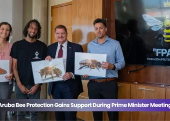 aruba bee protection gains support during prime minister meeting