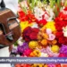 aruba medellin flights expand connections during feria de las flores