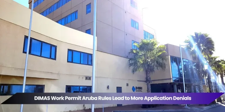 dimas work permit aruba rules lead to more application denials