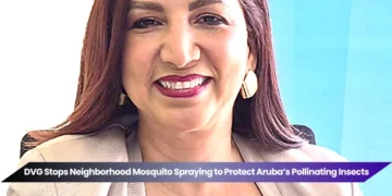 Aruba Mosquito Spraying Changes Protect Pollinating Insects and Public Health dvg stops neighborhood mosquito spraying to protect aruba’s pollinating insects (2)