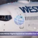 westjet aruba winter flights expand as canadian sun travel grows