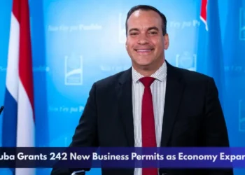 Aruba Grants 242 New Business Permits as Economy Expands