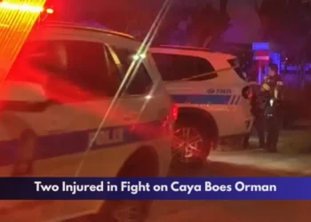 Two Injured in Fight on Caya Boes Orman