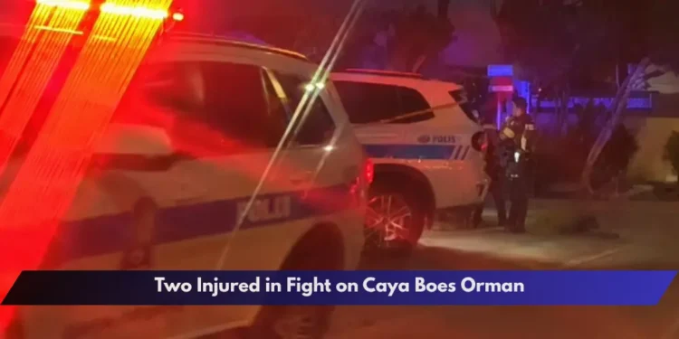 Two Injured in Fight on Caya Boes Orman