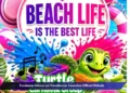 New Turtle Carnaval Group Prepares for Aruba Carnival 2027