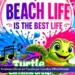 New Turtle Carnaval Group Prepares for Aruba Carnival 2027