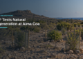 ACF Tests Natural Regeneration at Aima Coa