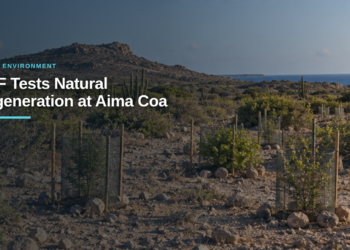 ACF Tests Natural Regeneration at Aima Coa