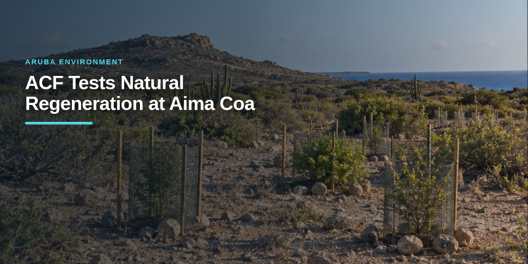ACF Tests Natural Regeneration at Aima Coa ACF Tests Natural Regeneration at Aima Coa