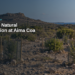 ACF Tests Natural Regeneration at Aima Coa