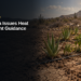 Santa Rosa Issues Aruba Heat and Drought Guidance Santa Rosa Issues Aruba Heat and Drought Guidance