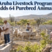 Aruba Livestock Program Adds 64 Purebred Animals Aruba Livestock Program Adds 64 Purebred Animals