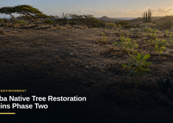 Aruba Native Tree Restoration Begins Phase Two