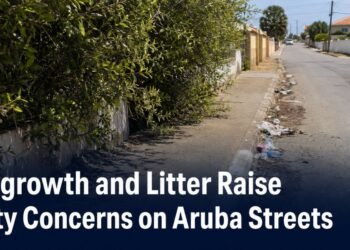 Overgrown roadside vegetation and litter obstructing an Aruba sidewalk