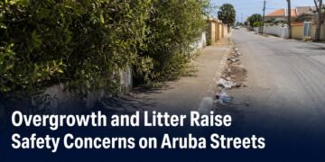 Overgrowth and Litter Raise Safety Concerns on Aruba Streets Overgrown roadside vegetation and litter obstructing an Aruba sidewalk