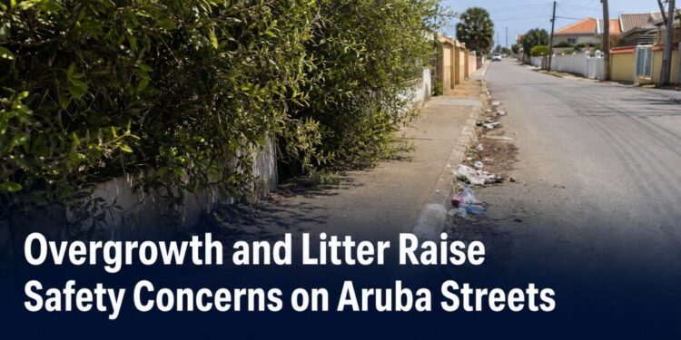 Overgrown roadside vegetation and litter obstructing an Aruba sidewalk
