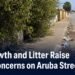 Overgrowth and Litter Raise Safety Concerns on Aruba Streets Overgrown roadside vegetation and litter obstructing an Aruba sidewalk