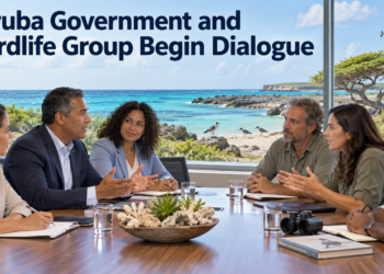 Aruba Government and Birdlife Group Begin Dialogue
