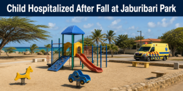 Child Hospitalized After Fall at Jaburibari Park Child Hospitalized After Fall at Jaburibari Park