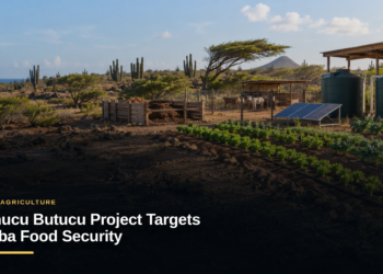 Cunucu Butucu Project Targets Aruba Food Security