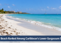 Eagle Beach Ranked Among Caribbean's Lower-Sargassum Shores