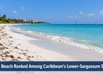Eagle Beach Ranked Among Caribbean's Lower-Sargassum Shores
