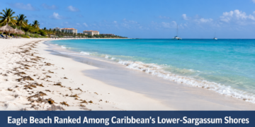 Eagle Beach Ranked Among Caribbean's Lower-Sargassum Shores